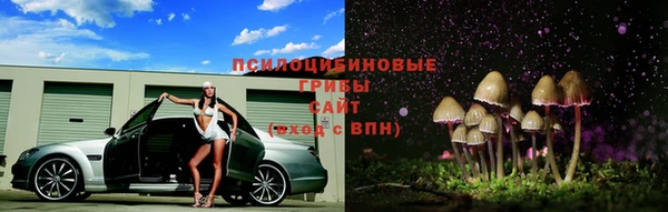 дмт Гусев