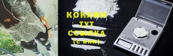 дмт Гусев