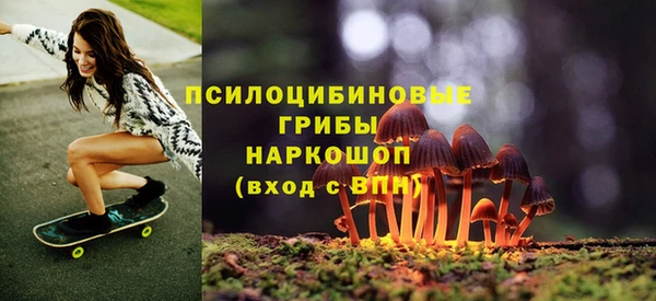 прущая мука Гусиноозёрск
