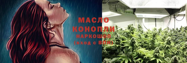 дмт Гусев
