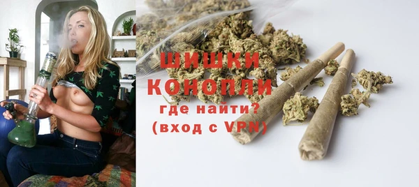 дмт Гусев
